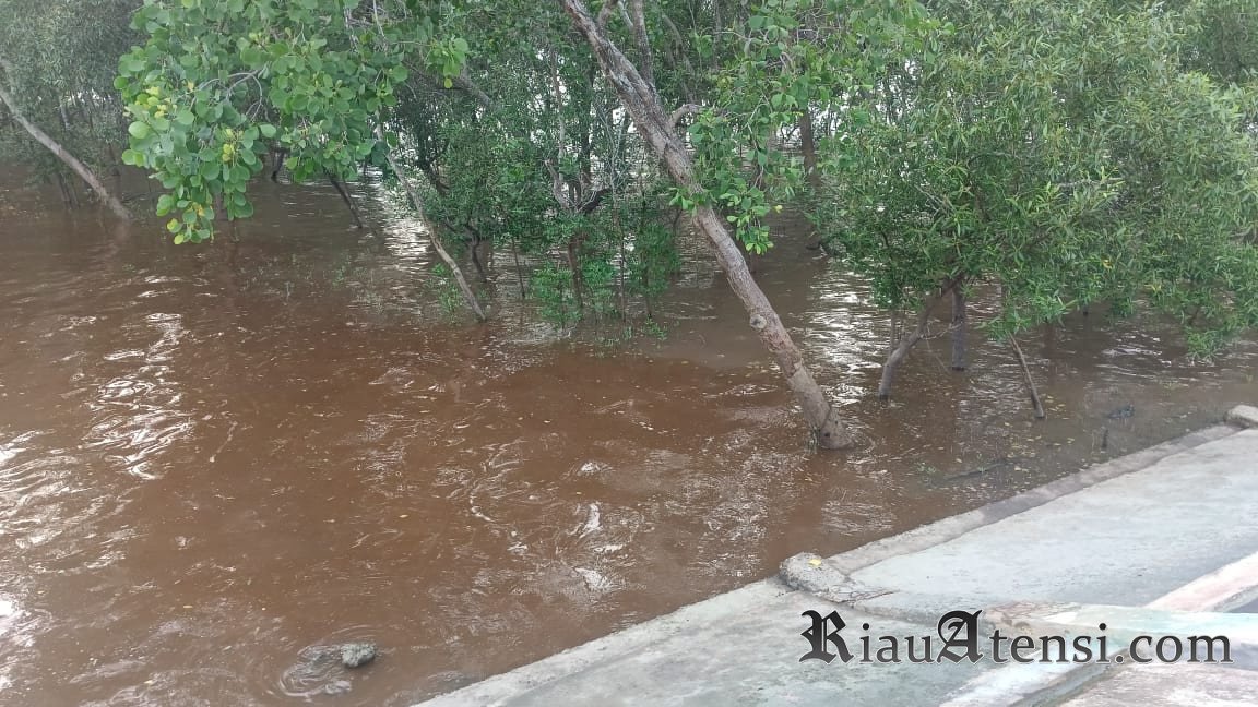 Nelayan Desak DLH Dumai Perkuat Pengawasan