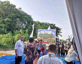 Pelindo Hadiri Panen Jagung Polsek KSKP Dumai