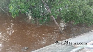 Nelayan Desak DLH Dumai Perkuat Pengawasan